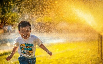 Screens Down–Making the Most of Summer